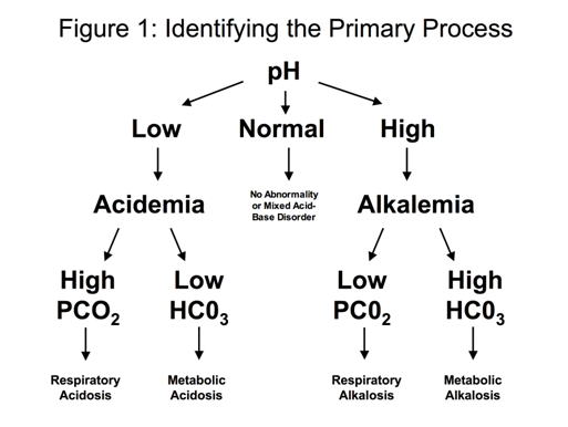 Figure 1: identifying Primary Process